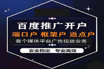 某电商平台的SEM推广实践与效果展示